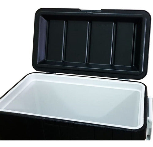 Caisson Isotherme Coleman 48qt / 45,4L